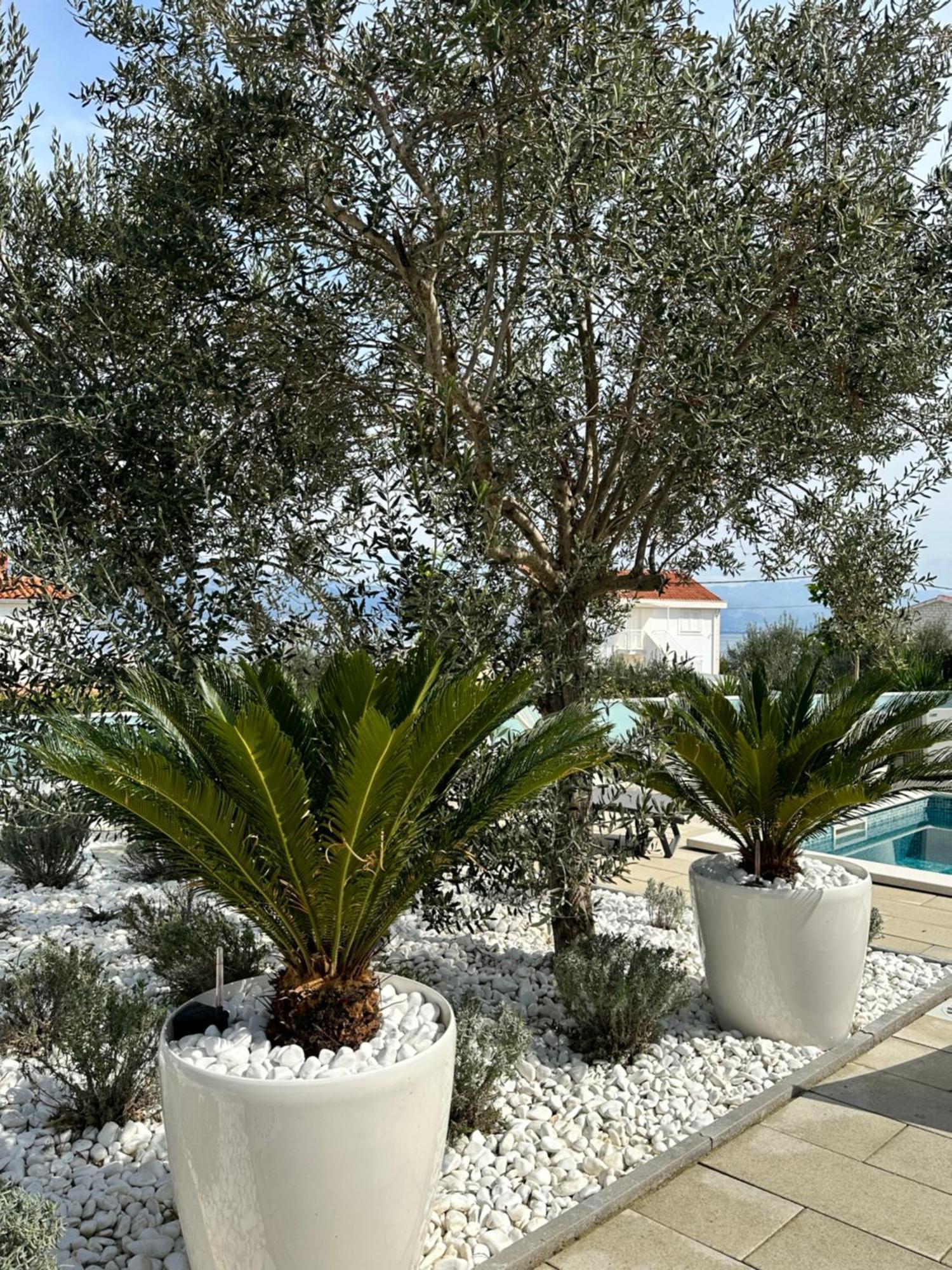 Apartments Marina Trogir Exterior foto